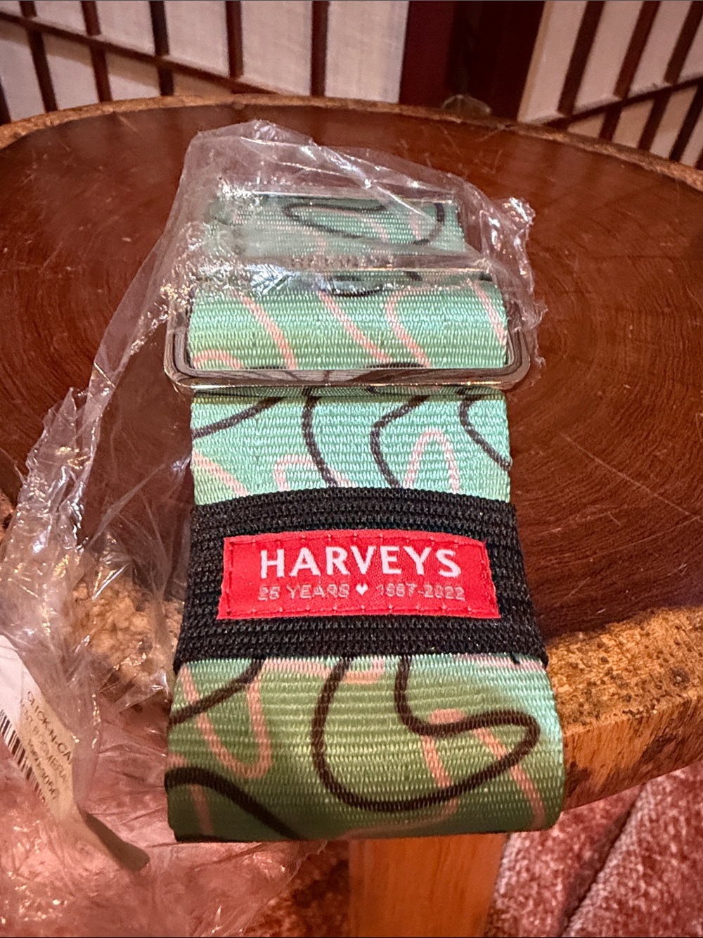 Harveys Mint Boomerang Seatbelt Click n Carry Strap NEW